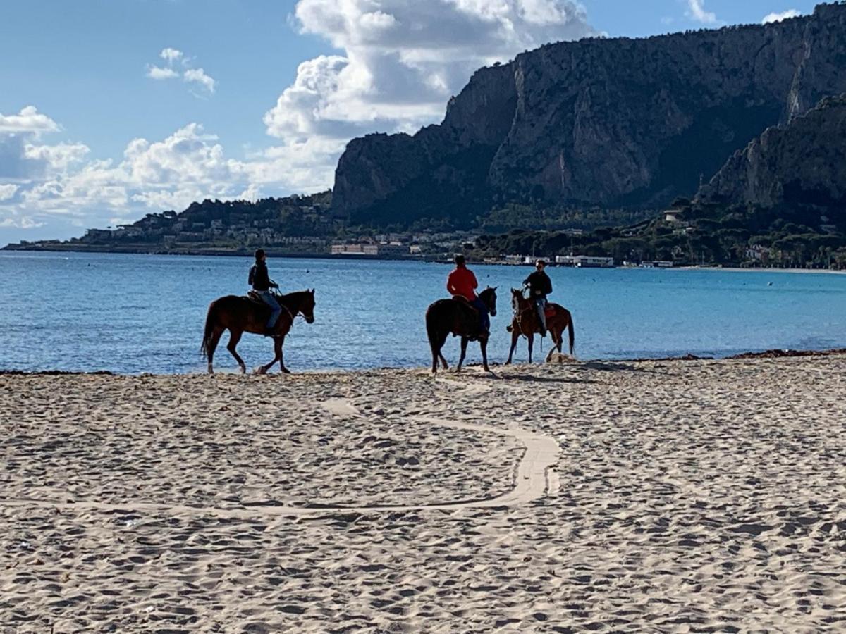 Mondello Beach Luxury Apartments Palermo Eksteriør bilde